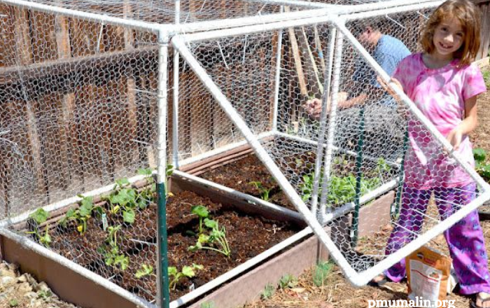 Unleash Your Creativity: DIY Home & Garden Projects