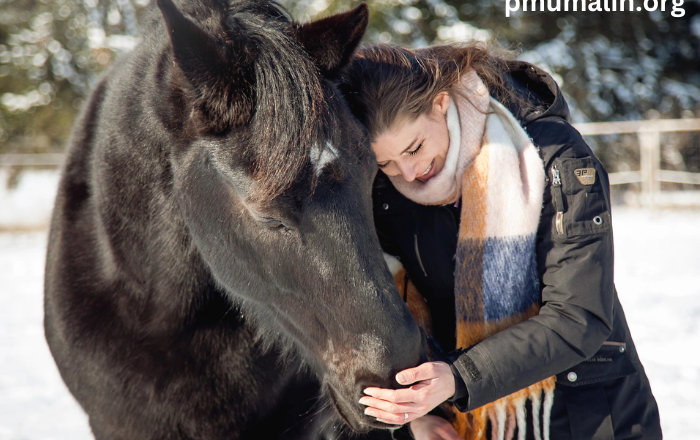 Understanding Horse Behavior: Insights into Equine Communication and Care