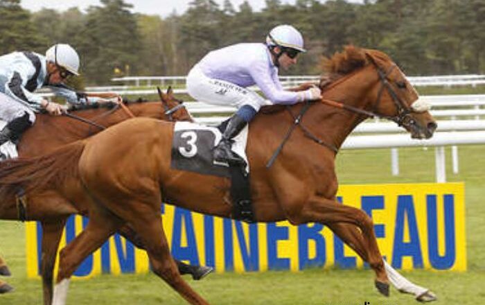 100 Ordre Turf