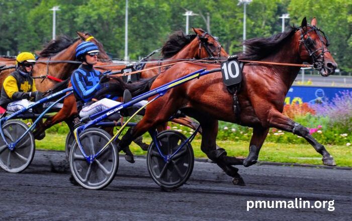 Pronostic Du Jour