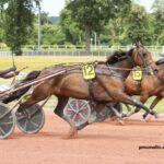 LA Richesse Turf