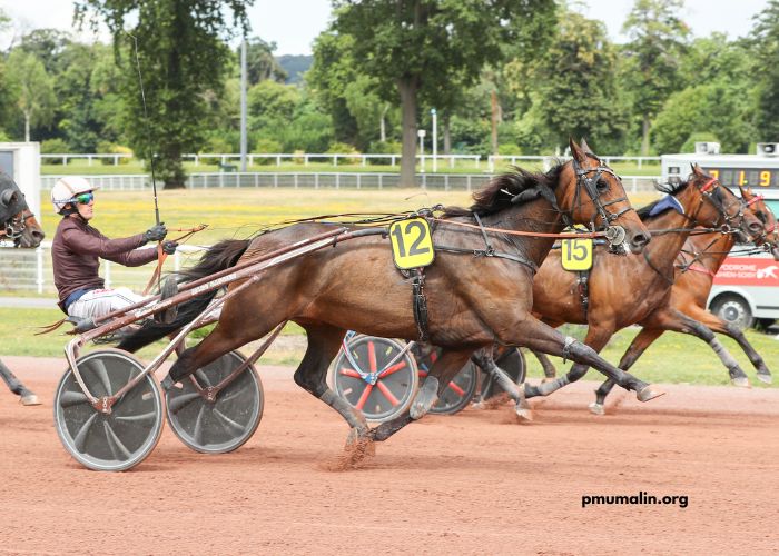 LA Richesse Turf
