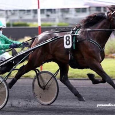 Quinté Gagnant Vip
