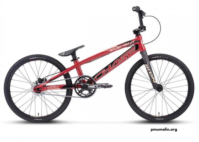 Xxl Pro 2021