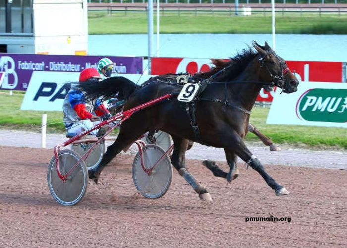 LA Voyeuse Cplemaire