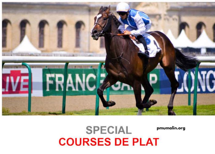 Résultat Pmu Du Jour
